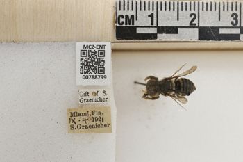 Media type: image;   Entomology 788799 Aspect: Labels